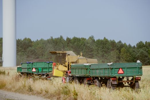 Combine harvesting the rape field at summer
