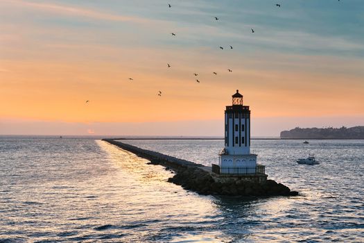 Los Angeles LIghthouse at Dusk with Birds