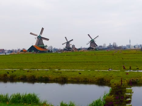 visiting a rural area in Netherlands