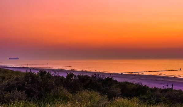 The dunes of domburg with view on the beach during sunset, Zeeland, The netherlands