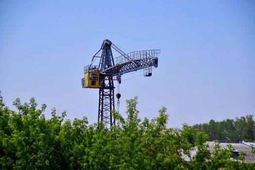 tower crane above the trees with a clear sky