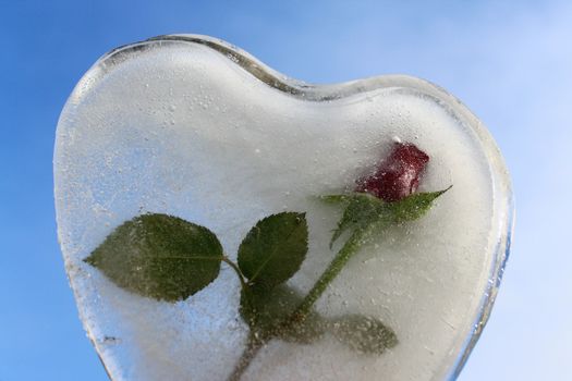 The picture shows an iceheart with a rose and the blue sky