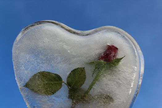 The picture shows an ice heart with a rose and the blue sky