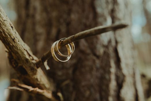 Beautiful two golden wedding rings. Made of highest quality material