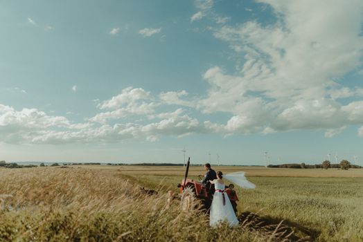 Bride and groom at a photo session in the nature.