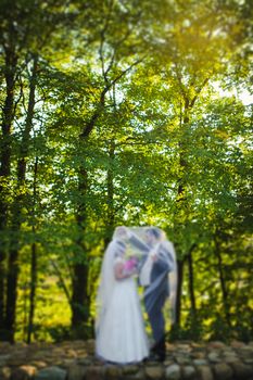 Bride and groom at a photo session in the nature.