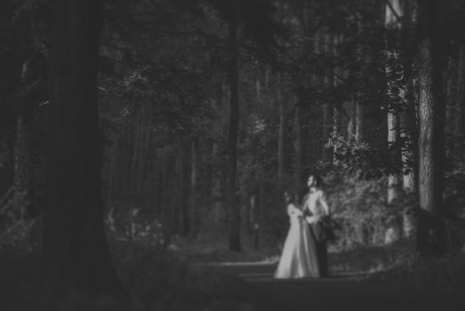 Bride and groom at a photo session in the nature.