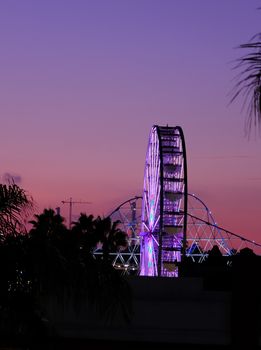 Long Beach Ferris Wheel at Dusk Beyond Palm Trees