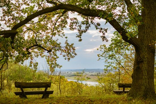 Bench in autumn park. Autumn landscape. Viewpoint