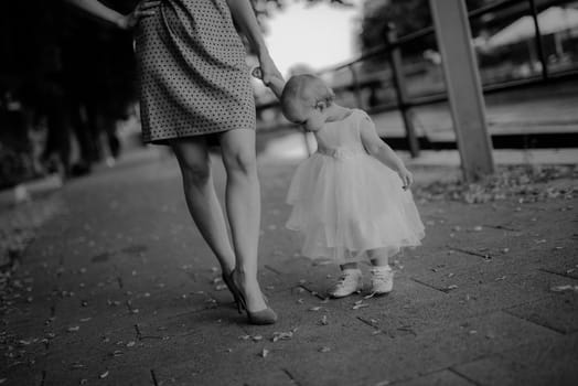 Happy mother and daughter in the park. Beauty nature scene with family outdoor lifestyle. Happy family resting together on the green grass, having fun outdoor. Happiness and harmony in family life.