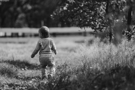 Adorable girl having fun on beautiful autumn day. authentic childhood image