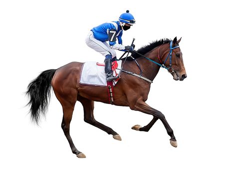 horse jockey racing isolated on white background