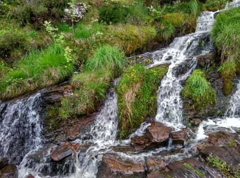 a wayside waterfall