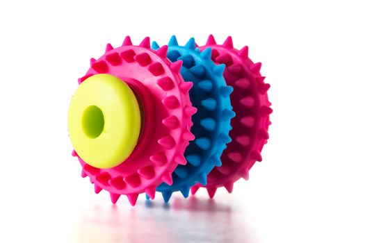An unusual toy for a dog with three ribbed rings of blue and red colors on a light green sleeve. Toy isolated on a white background.