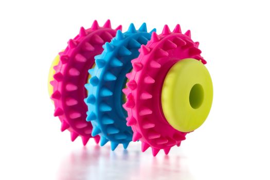 An unusual toy for a dog with three ribbed rings of blue and red colors on a light green sleeve. Toy isolated on a white background.