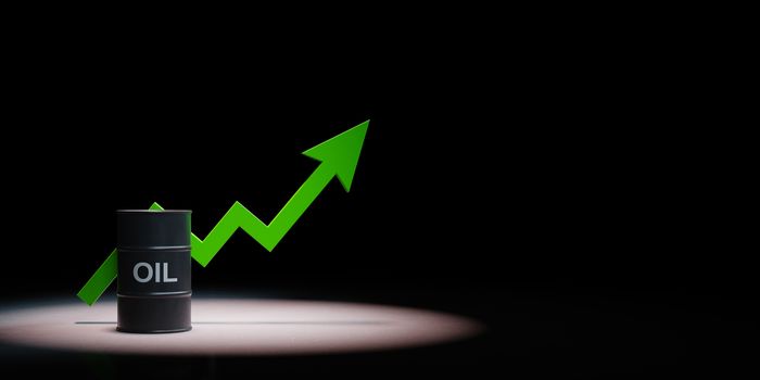 Single Black Oil Barrel With Green Rising Arrow Chart Spotlighted on Black Background with Copy Space 3D Illustration