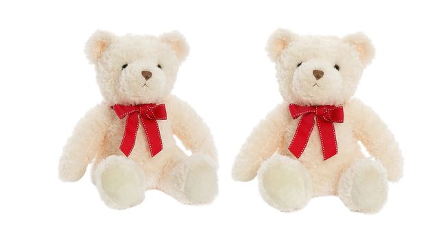 white plush fluffy Teddy bear on Valentine's day holiday sits with red satin ribbon on neck isolated on white background