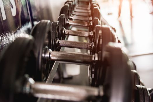 Equipment metal dumbbells weight on rack at fitness gym