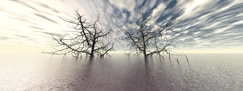 beautiful ocean view with two large trees and sky - 3d rendering