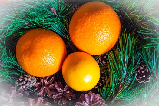 Christmas or new year  fruit basket top view. Oranges and lemon lie in a basket with a Christmas tree and Christmas cones. New year flat lay