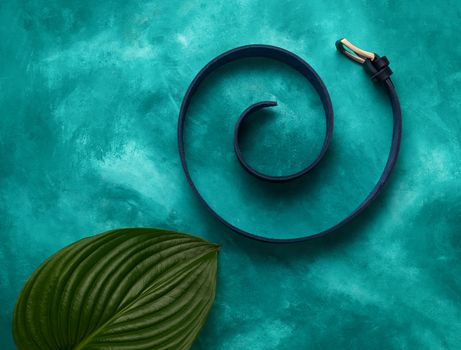 A male  fashion handmade leather belt in spiral with bif plant leaf in left down corner on turquoise background. Luxury minimalism conceptual photo.