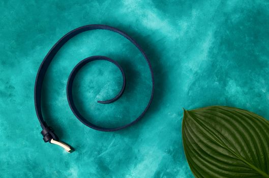 A male  fashion handmade leather belt in spiral with bif plant leaf in right down corner on turquoise background. Luxury minimalism conceptual photo.