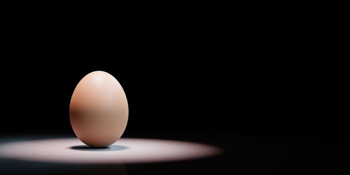 One Single Hen's Egg Spotlighted on Black Background with Copy Space 3D Illustration