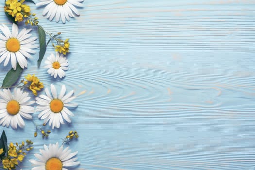 White camomiles and goldenrod on a blue wooden background. Beautiful spring composition, template for design with place for text.