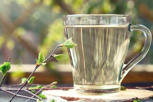 Birch juice on a table in a glass mug, next to a branch of birch with young leaves.