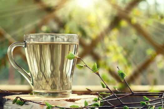 Birch juice on a table in a glass mug, next to a branch of birch with young leaves.