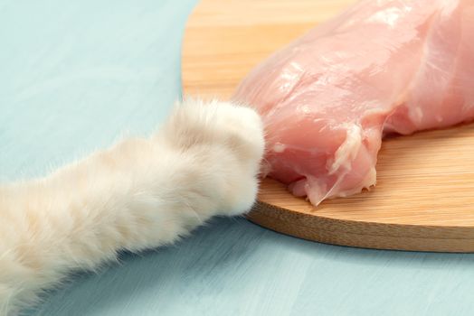 Cat's paw stealing a piece of chicken from the table, close up.