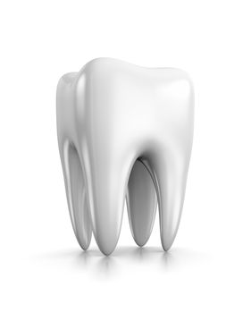 Single White Tooth on White Background 3D Illustration