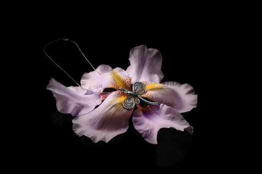 A white gold dragonfly pendant with chain on iris flower isolated on black background. Stock photo of unique luxury jewellery pendant.