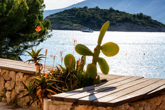Beautiful mediteran impressions, palm trees, house wall and sky.
