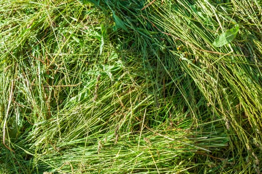 New-mown green hay with the village a close up