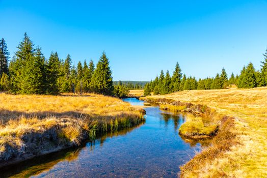 Small mountain creek meandering in the middle of meadows and forest. Sunny day with blue sky and white clouds in Jizera Mountains, Northern Bohemia, Czech Republic