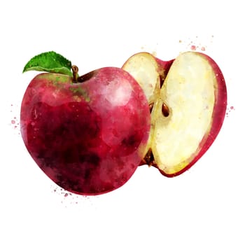 Red Apple, isolated hand-painted illustration on a white background