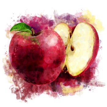 Red Apple, isolated hand-painted illustration on a white background