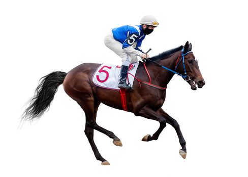 horse jockey racing isolated on white background