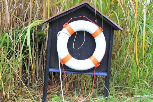 red and white lifebuoy in the wilderness and grass