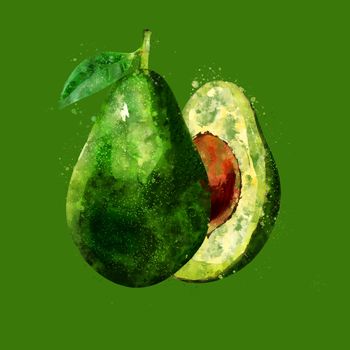 Avocado, hand-painted illustration on a green background