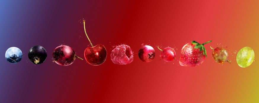 Cherries, strawberries, gooseberries, blueberries, raspberries, currants, blackberries, grapes and cranberries illustrations.