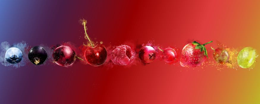 Cherries, strawberries, gooseberries, blueberries, raspberries, currants, blackberries, grapes and cranberries illustrations.