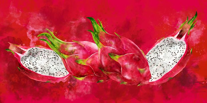 Dragon Fruit, hand-painted illustration on a red background