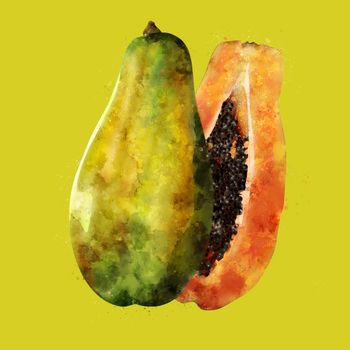 Papaya, hand-painted illustration on green background