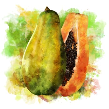 Papaya, isolated hand-painted illustration on white background