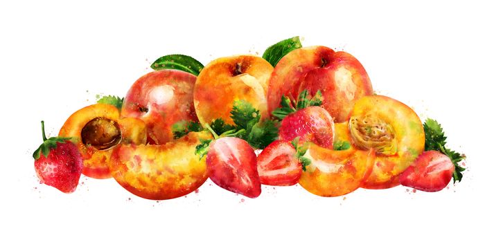 Apricot, peach and strawberry and cut slices on a white background.