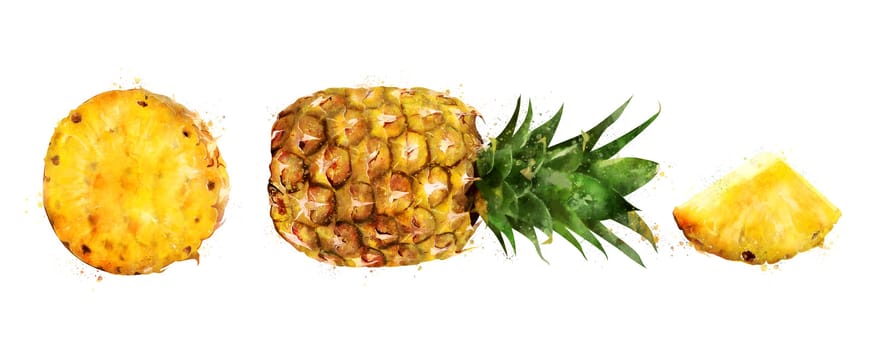 Pineapple, isolated hand-painted illustration on a white background