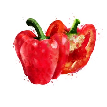 Red Pepper, isolated hand-painted illustration on a white background