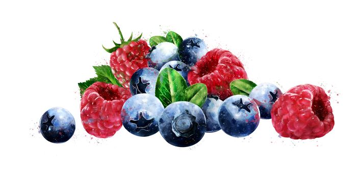 Raspberries, cranberries, blueberries on a white background.